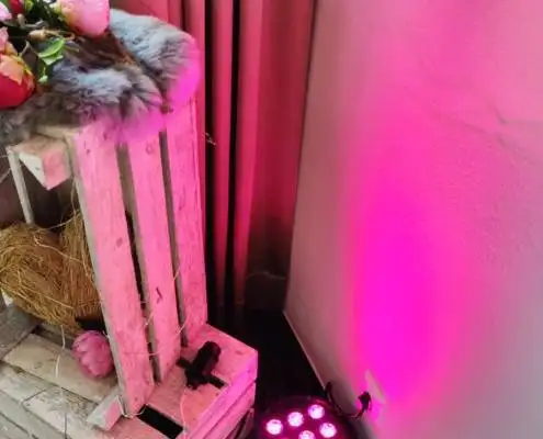 DJ Arne Winter Hochzeit